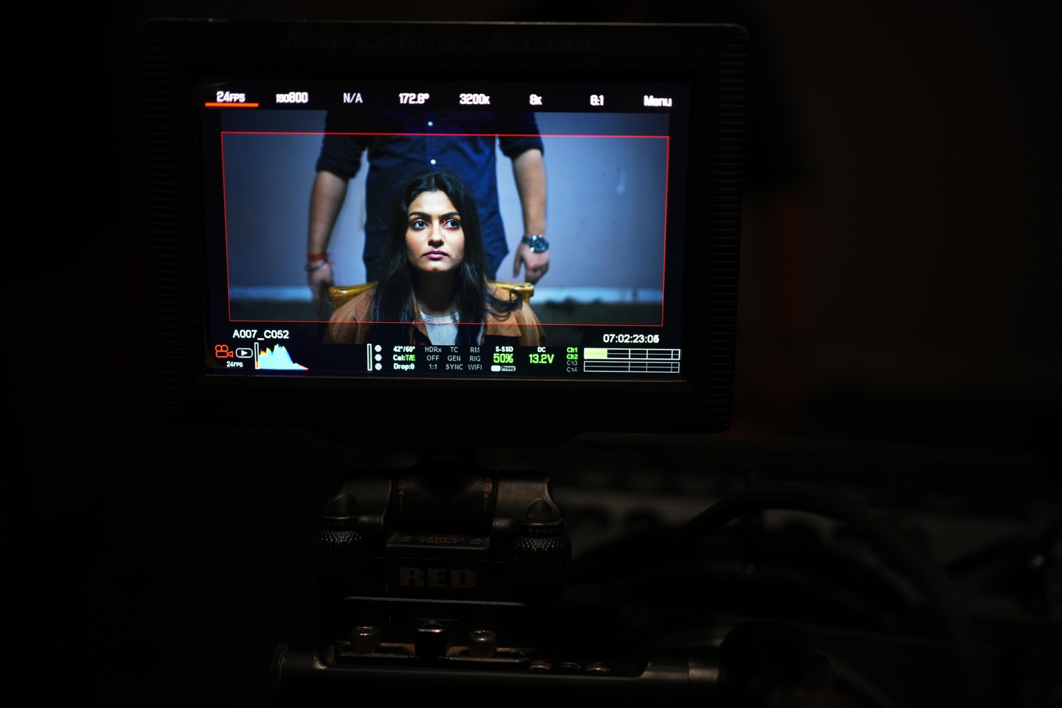Anamika monitor